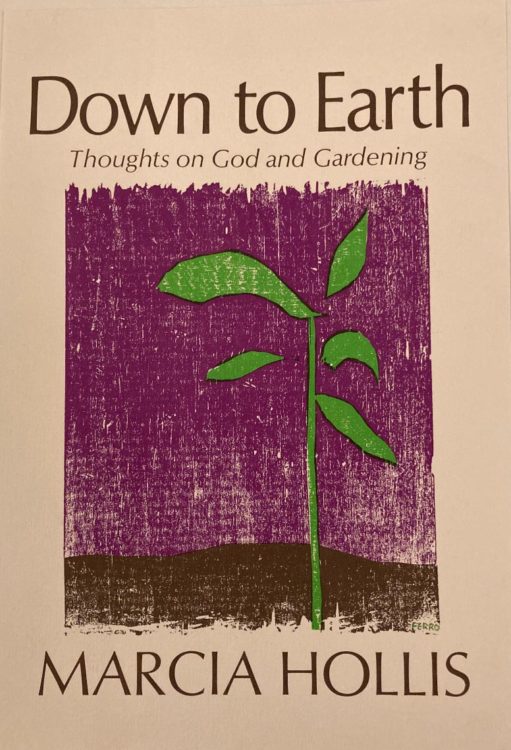 illustration by Walter Ferro - Hollis, Down To Earth copy