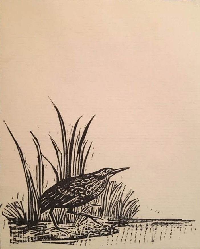 woodcut by Walter Ferro of bird with grasses for pricing notes