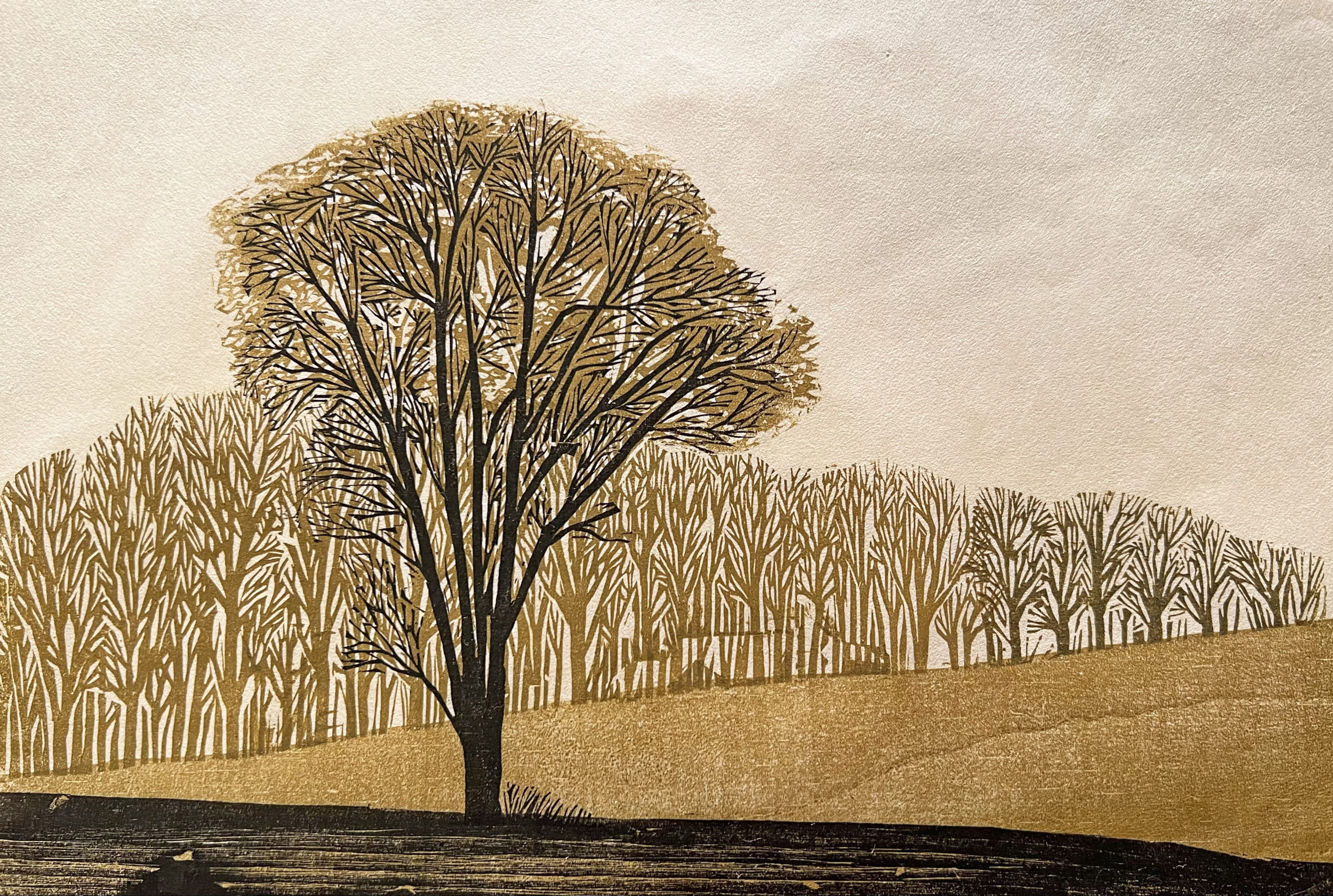 Woodcut by Walter Ferro of a tree with field and harvest in the background for interior illustration of Jesse Stuart's book, My Land Has a Voice.