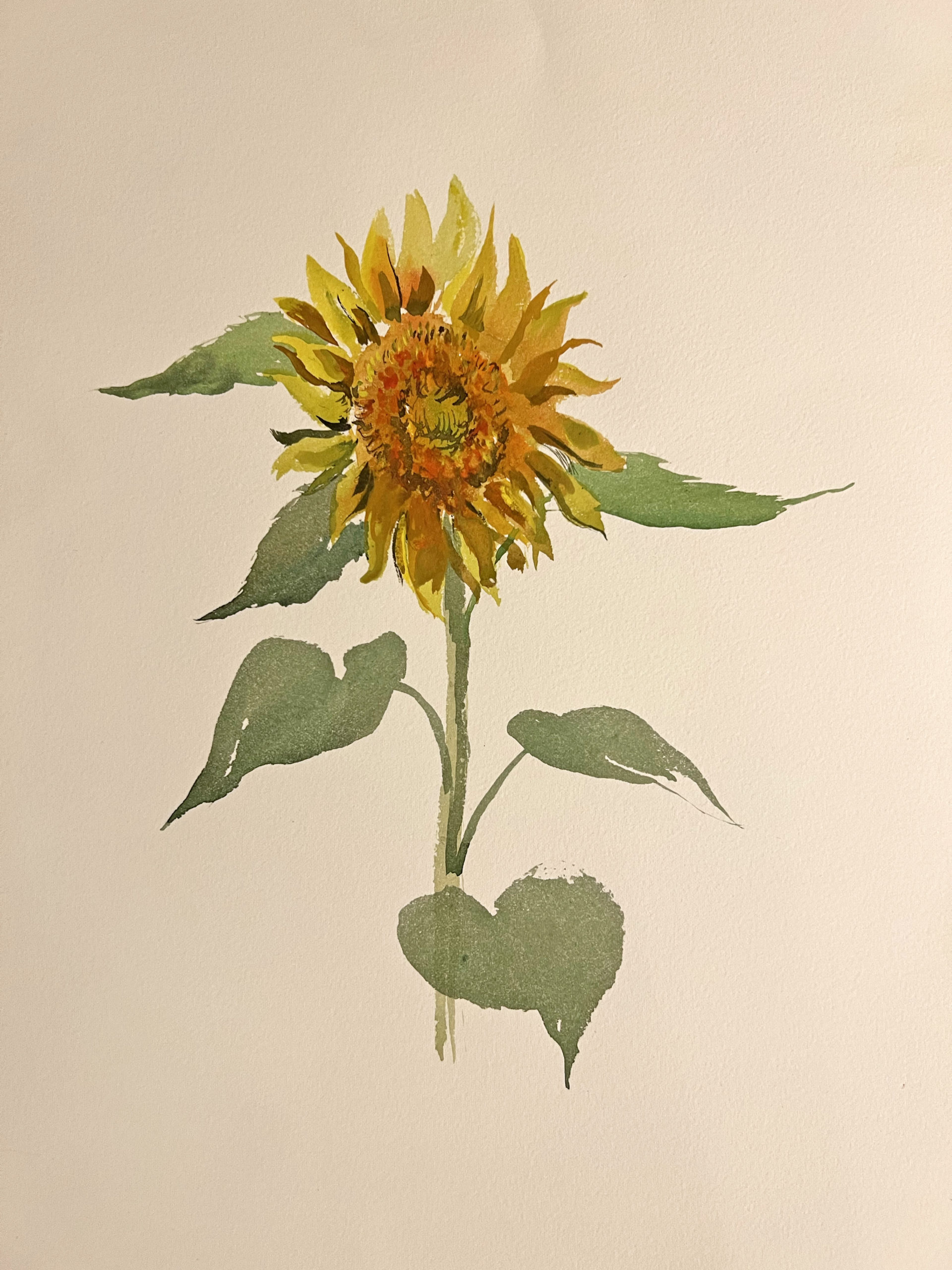 woodcut of a sunflower by Walter Ferro