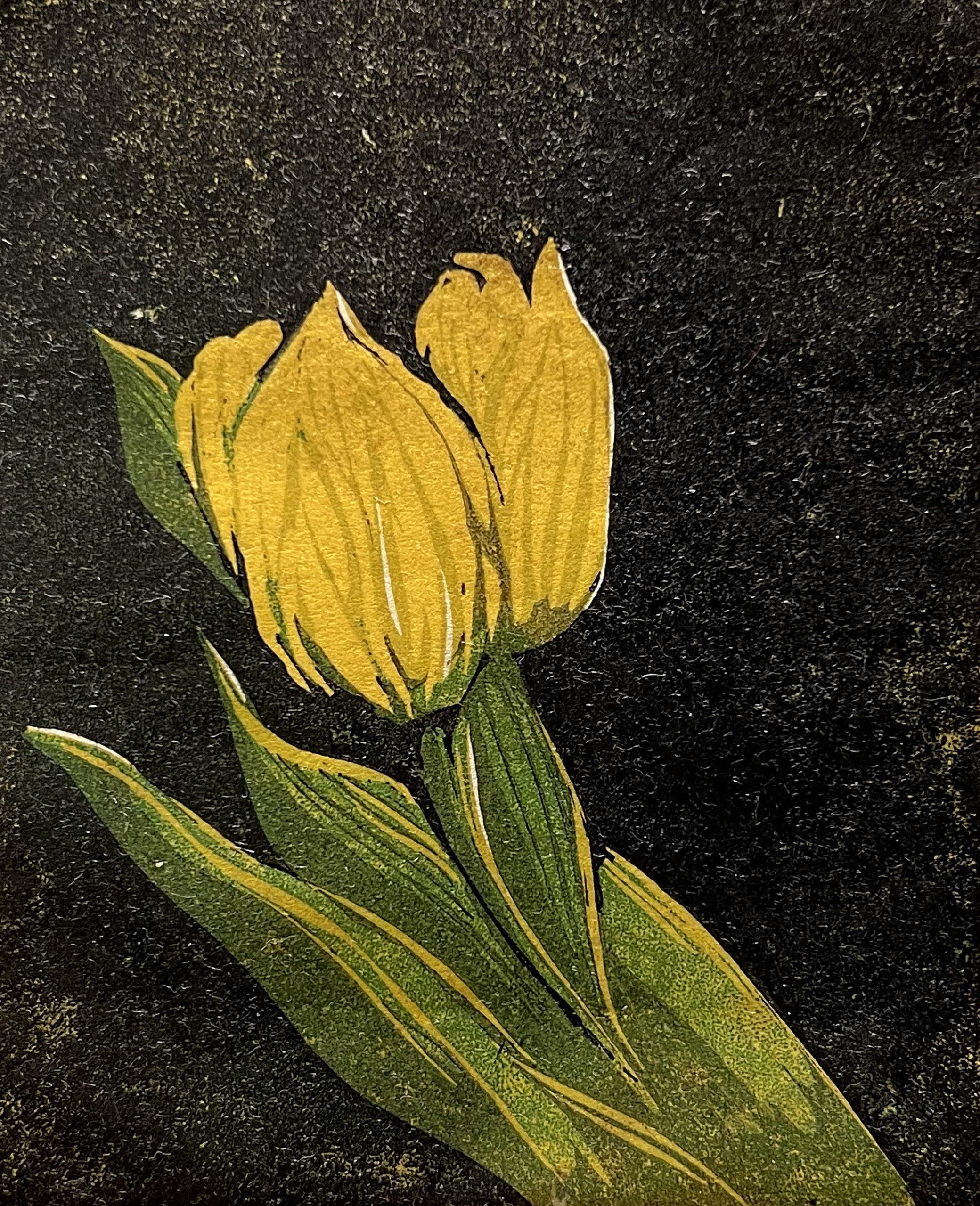 woodcut by Walter Ferro - Tulip